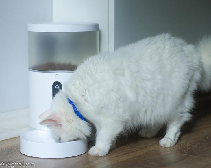 И волки сыты, и овцы целы.</p>
<p>Обзор автоматической кормушки Hiper Pet Feeder LE